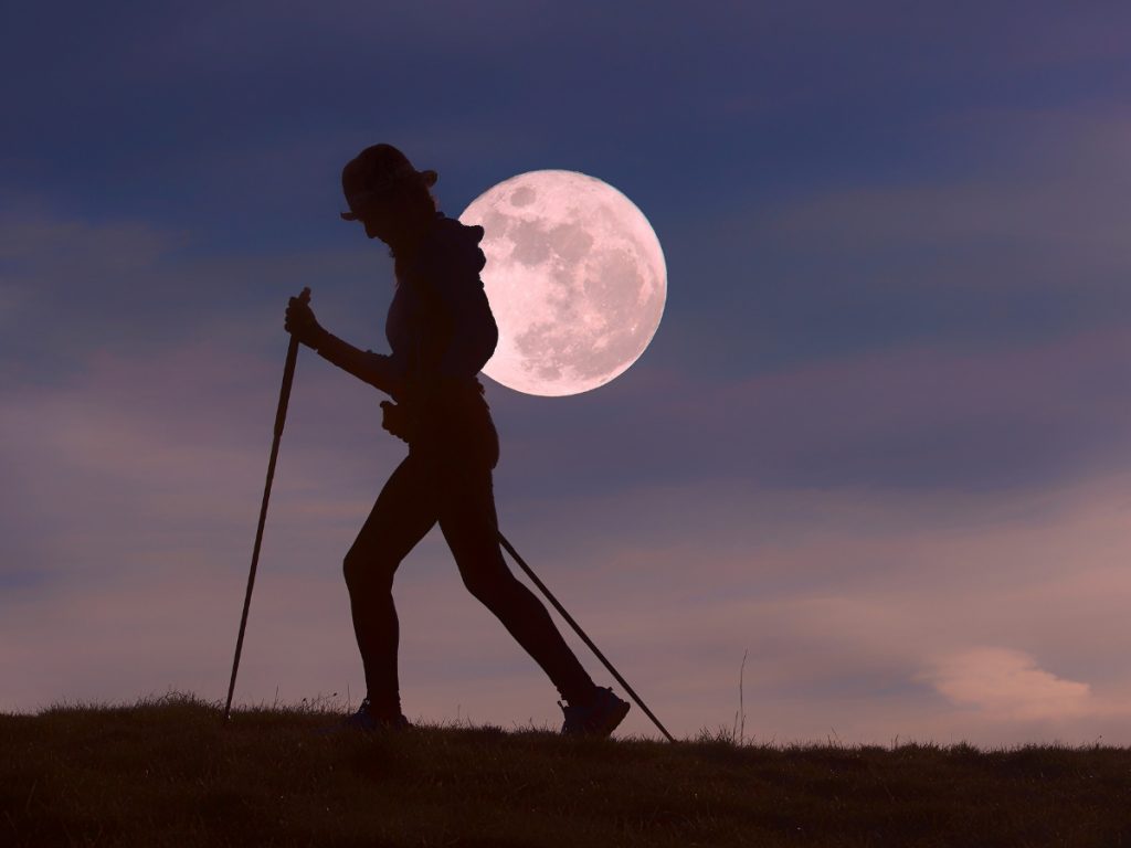Full Moon Hikes (Ages 12+) image