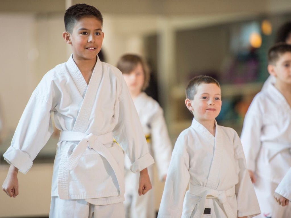 Karate Classes (Ages 5-15) image